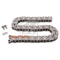 FEBI BILSTEIN 171576 Steuerkette