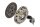 Schaeffler LuK 625 3165 33 Kupplungssatz
