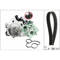 Schaeffler INA 530 0743 30 Wasserpumpe + Zahnriemensatz