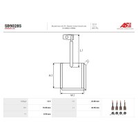 AS-PL SB9028S Kohlebürste, Starter