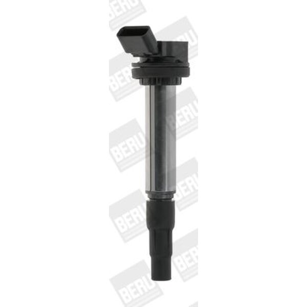 BorgWarner (BERU) ZSE184 Zündspule