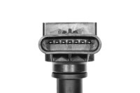 BorgWarner (BERU) ZSE185 Zündspule
