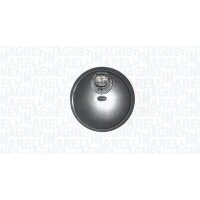 MAGNETI MARELLI 172100090010 Sensor, Raddrehzahl