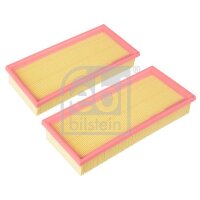 FEBI BILSTEIN 174824 Luftfiltersatz