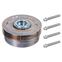 FEBI BILSTEIN 173069 Riemenscheibe, Kurbelwelle
