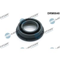 Dr.Motor Automotive DRM0848 Dichtung, Düsenhalter