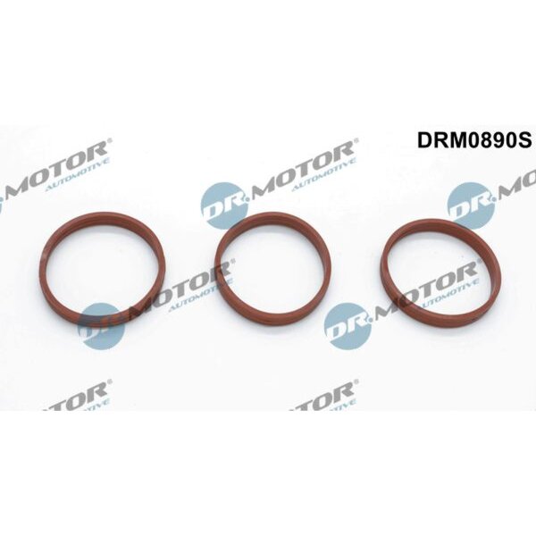 Dr.Motor Automotive DRM0890S Dichtungssatz, Ansaugkrümmer