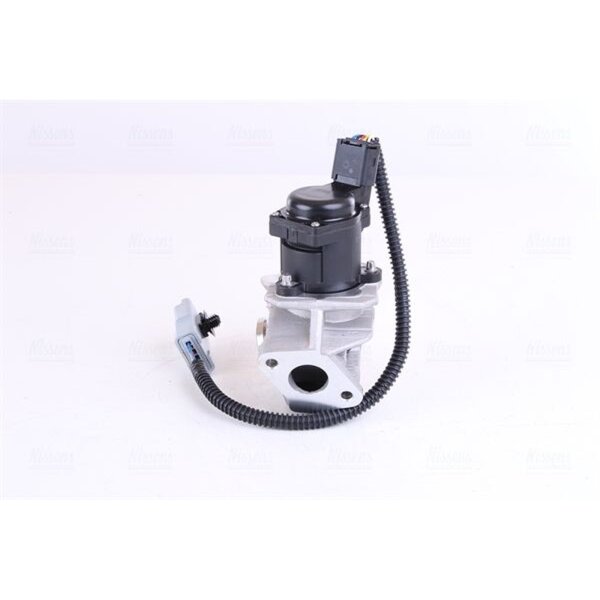 NISSENS 98244 AGR-Ventil