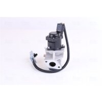 NISSENS 98244 AGR-Ventil