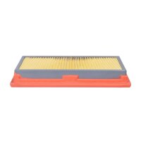 DR!VE+ DP1110.10.0168 Luftfilter