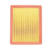 DR!VE+ DP1110.10.0227 Luftfilter