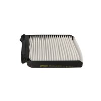 DR!VE+ DP1110.12.0050 Filter, Innenraumluft