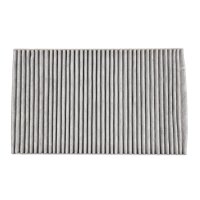 DR!VE+ DP1110.12.0207 Filter, Innenraumluft