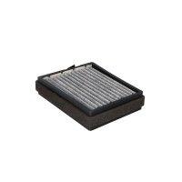 DR!VE+ DP1110.12.0215 Filter, Innenraumluft