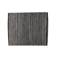 DR!VE+ DP1110.12.0218 Filter, Innenraumluft