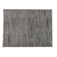DR!VE+ DP1110.12.0253 Filter, Innenraumluft