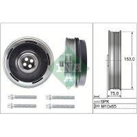 Schaeffler INA 544 0169 20 Riemenscheibe, Kurbelwelle