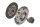 Schaeffler LuK 624 3751 33 Kupplungssatz