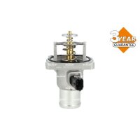 NRF 725033 Thermostat, Kühlmittel