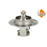 NRF 725066 Thermostat, Kühlmittel