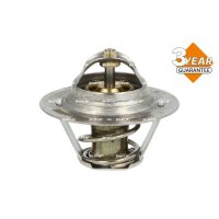 NRF 725066 Thermostat, Kühlmittel