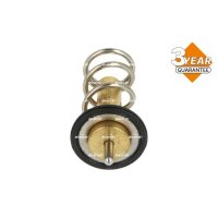 NRF 725069 Thermostat, Kühlmittel