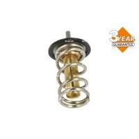 NRF 725069 Thermostat, Kühlmittel