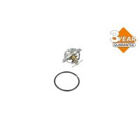 NRF 725096 Thermostat, Kühlmittel