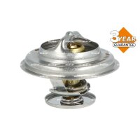 NRF 725096 Thermostat, Kühlmittel