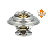 NRF 725096 Thermostat, Kühlmittel