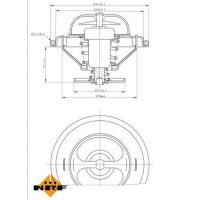 NRF 725096 Thermostat, Kühlmittel
