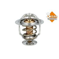 NRF 725119 Thermostat, Kühlmittel
