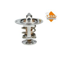 NRF 725119 Thermostat, Kühlmittel