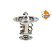 NRF 725119 Thermostat, Kühlmittel