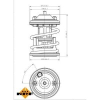 NRF 725219 Thermostat, Kühlmittel