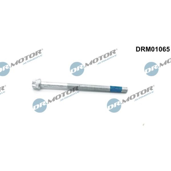 Dr.Motor Automotive DRM01065 Schraube, Einspritzdüsenhalter