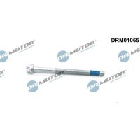 Dr.Motor Automotive DRM01065 Schraube,...