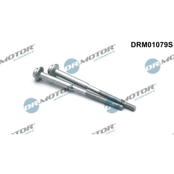 Dr.Motor Automotive DRM01079S Schraube, Einspritzdüsenhalter