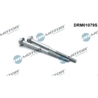 Dr.Motor Automotive DRM01079S Schraube,...