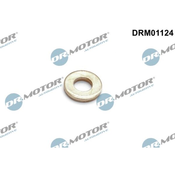 Dr.Motor Automotive DRM01124 Wärmeschutzscheibe, Einspritzanlage