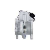 HELLA 6NU 010 171-291 AGR-Ventil