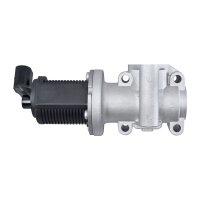 HELLA 6NU 010 171-401 AGR-Ventil