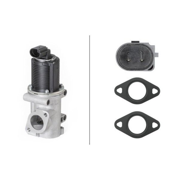 HELLA 6NU 010 171-541 AGR-Ventil