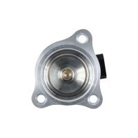 HELLA 6NU 010 171-551 AGR-Ventil