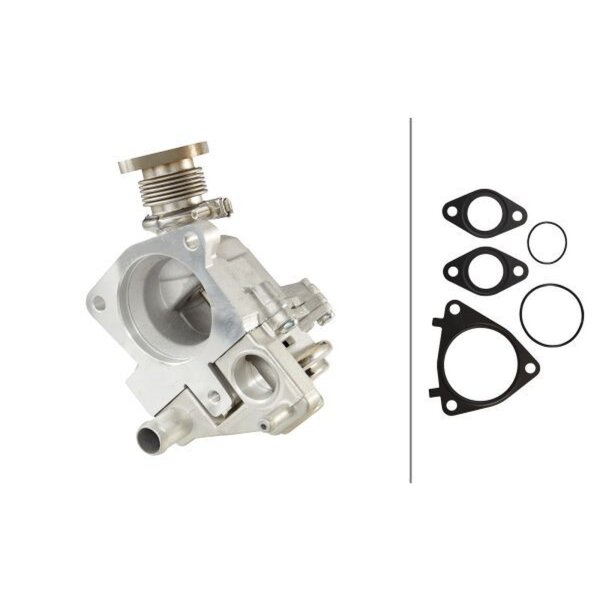 HELLA 6NU 010 171-571 AGR-Ventil