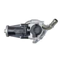 HELLA 6NU 010 171-661 AGR-Ventil