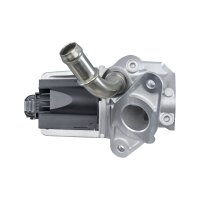 HELLA 6NU 010 171-661 AGR-Ventil