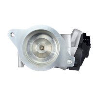 HELLA 6NU 010 171-671 AGR-Ventil