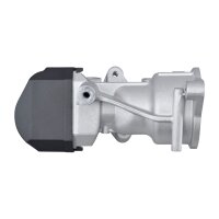 HELLA 6NU 010 171-671 AGR-Ventil