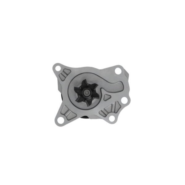 VALEO 529521 Wasserpumpe, Motorkühlung